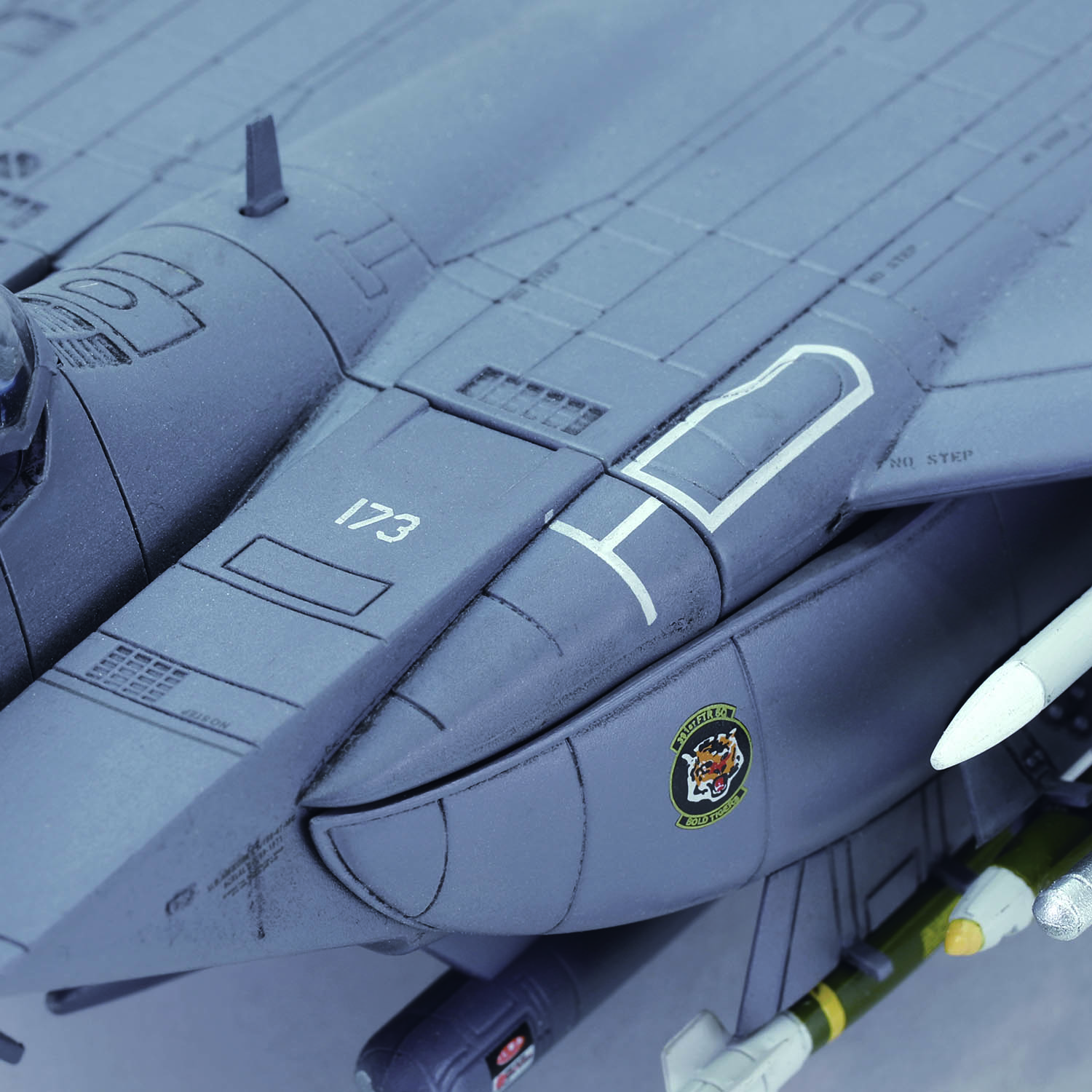 Boeing F-15E Strike Eagle“Shark Mouth”, USAF #87-0173, 391st Fighter Squadron 'Bold Tigers' , 366th Fighter Wing, U.S.A.F Mountain Home AFB, Idaho, 2002