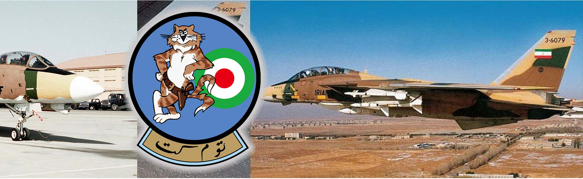 CVN-65 Enterprise deck + 4' Legendary F-14 Tomcat series Section #H deck + F-14A BuNo.160353 (3-6056), Tactical Fighter Base 8, Khatami, 1984 Asia Minor camouflage