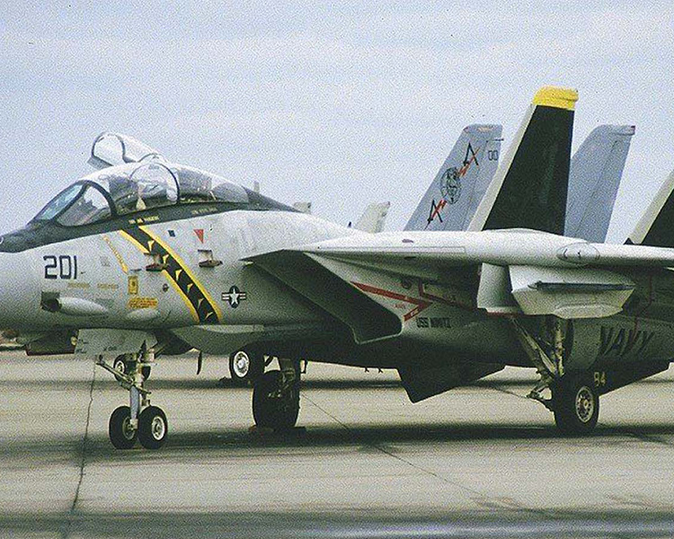 CVN-65 Enterprise deck + 4' Legendary F-14 Tomcat series Section