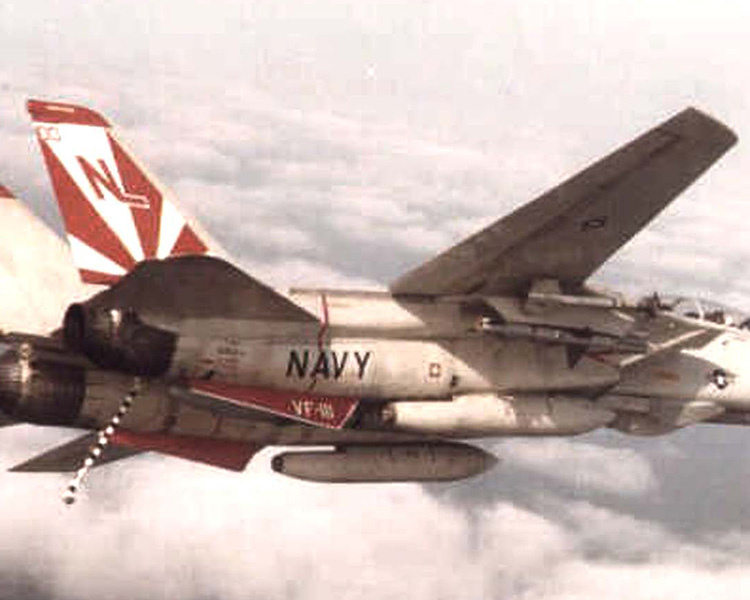 CVN-65 Enterprise deck + 4' Legendary F-14 Tomcat series Section